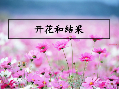 2描述传粉和受精的过程PPT课件