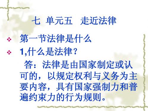 七  第五单元  走近法律