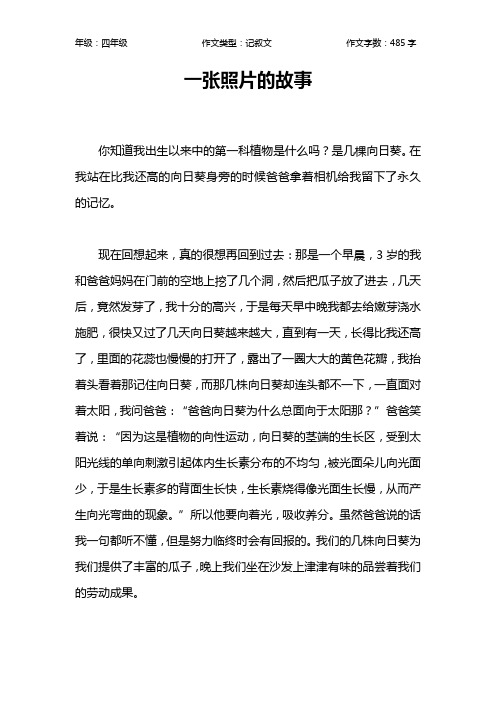 一张照片的故事作文【小学四年级500字】