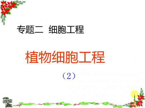 人教版高中生物选修3课件2.1 植物细胞工程2课件