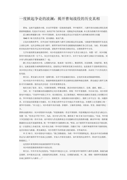 一度掀起争论的波澜
