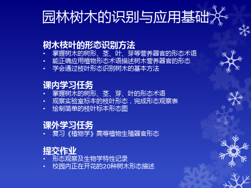 植物形态学术语(英)