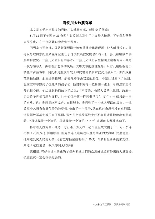 看汶川大地震有感_小学作文