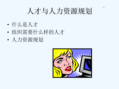 人才与人力资源规划(ppt 94)