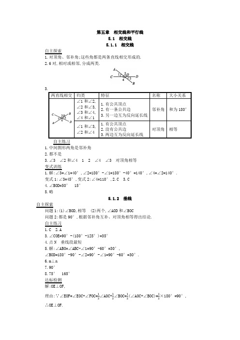 人教七下导学案答案