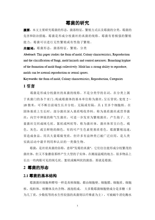 霉菌的研究