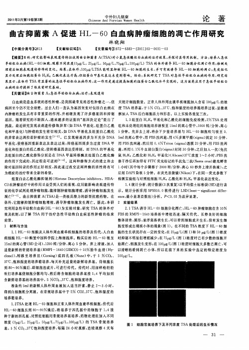 曲古抑菌素A促进HL-60白血病肿瘤细胞的凋亡作用研究