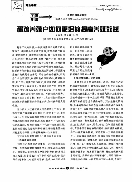 蛋鸡养殖户如何更好的提高养殖效益