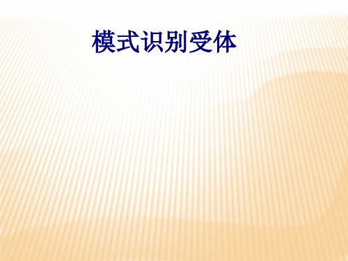 医学模式识别受体专题课件