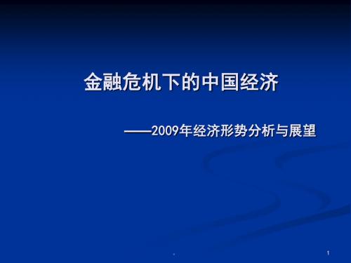 新版金融危机下的中国经济 --2009年经济形势分析与展望440精华版