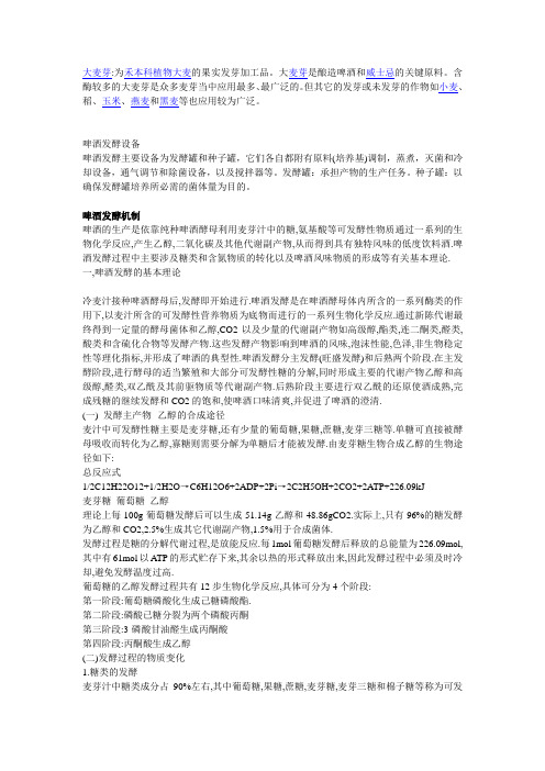 啤酒发酵机制