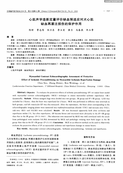 心肌声学造影定量评价缺血预适应对犬心肌缺血再灌注损伤的保护作用