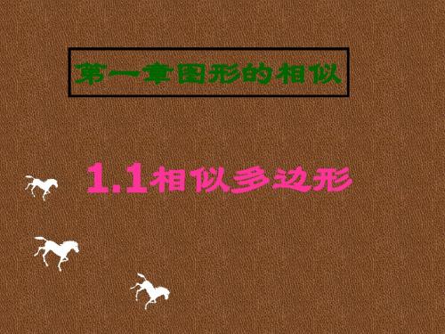 青岛版九上1.1相似多边形