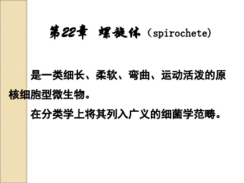 第22章 螺旋体