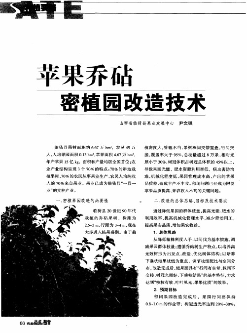 苹果乔砧密植园改造技术