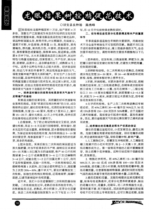 龙眼结果树控梢促花技术