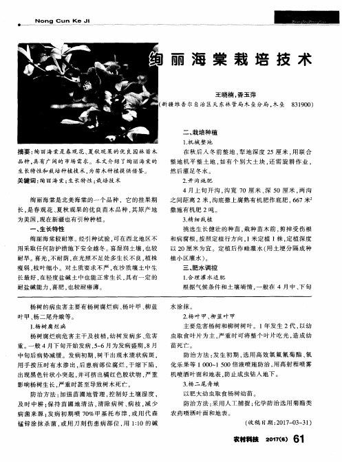 绚丽海棠栽培技术