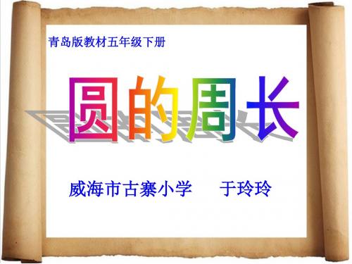 圆的周长 (1)(省一等奖)