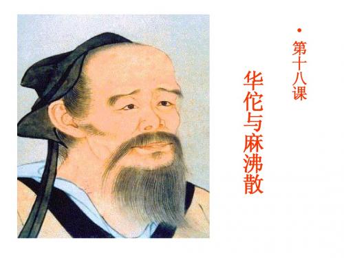 华佗与 麻沸散课件
