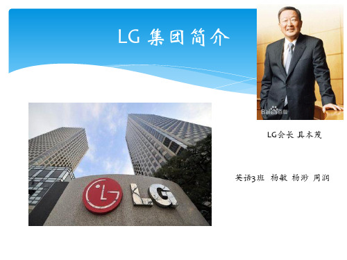 LG 集团介绍