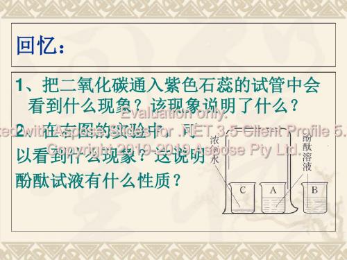 人教版九年级下册化学常见的酸和碱-第一课时指示剂-PPT文档资料