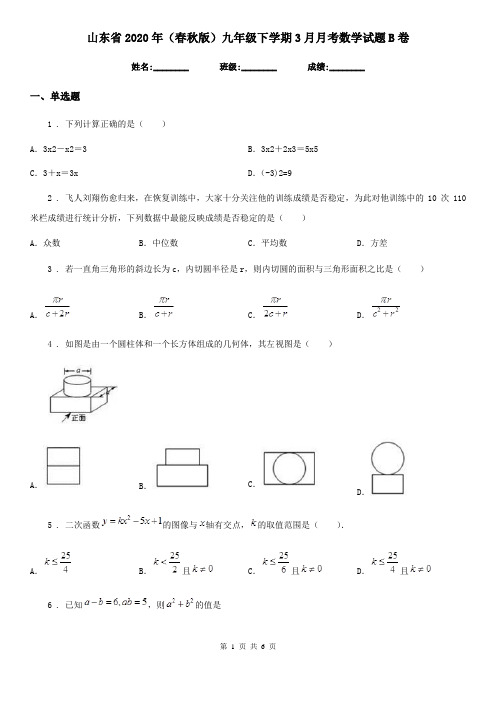 山东省2020年(春秋版)九年级下学期3月月考数学试题B卷