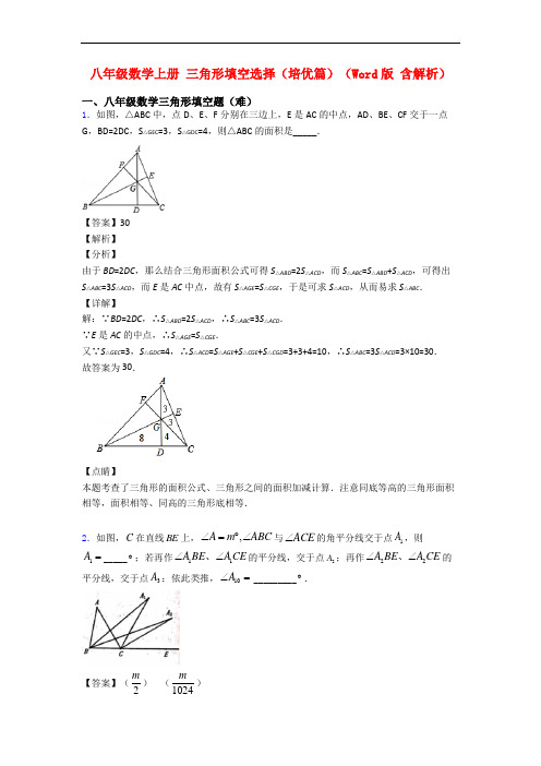 八年级数学上册 三角形填空选择(培优篇)(Word版 含解析)