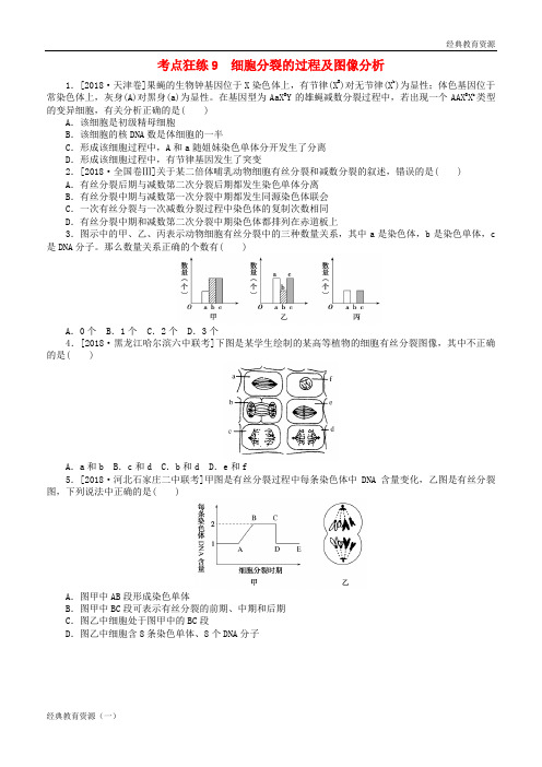 2019高考生物二轮复习 考点狂练9 细胞分裂的过程及图像分析