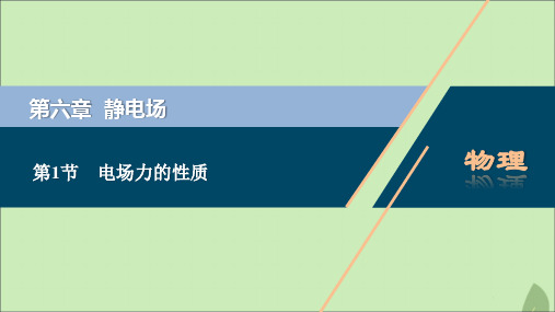 (浙江选考)2021版新高考物理一轮复习8第六章静电场1第1节电场力的性质课件