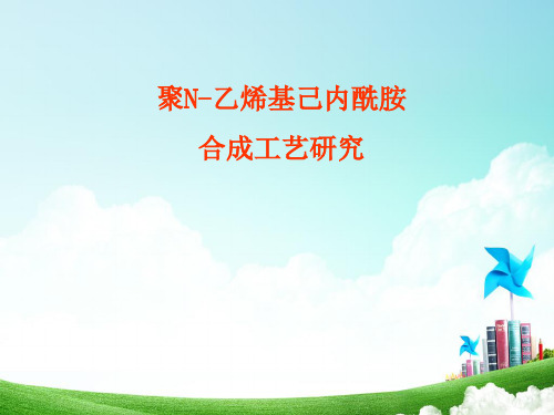 聚N-乙烯基己内酰胺合成工艺研究