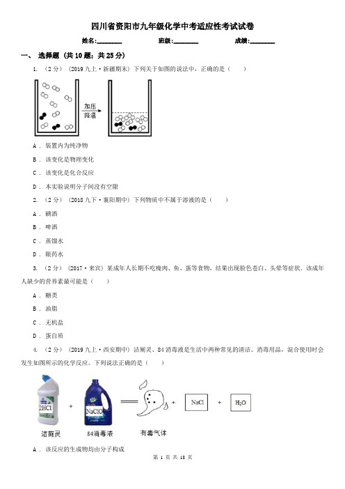 四川省资阳市九年级化学中考适应性考试试卷