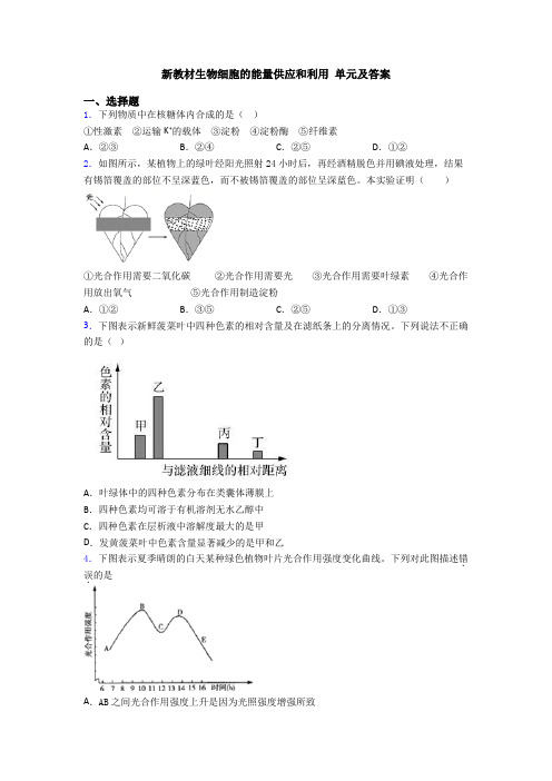 新教材生物细胞的能量供应和利用 单元及答案
