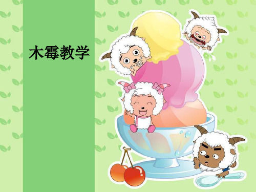 木霉ppt课件