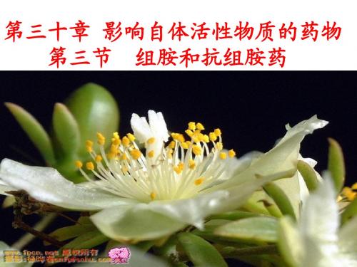 第30章  影响自体活性药