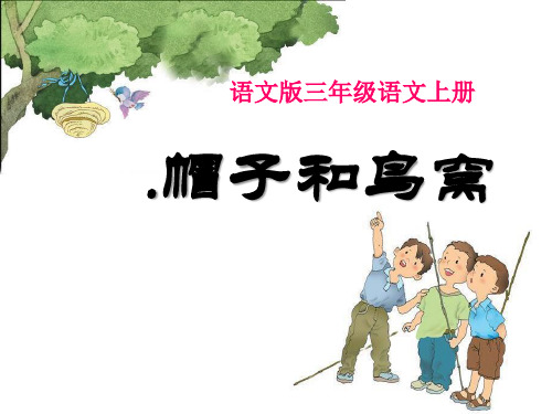 《帽子和鸟窝》PPT课件(上课用)2