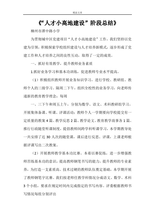 《“人才小高地建设”阶段总结》