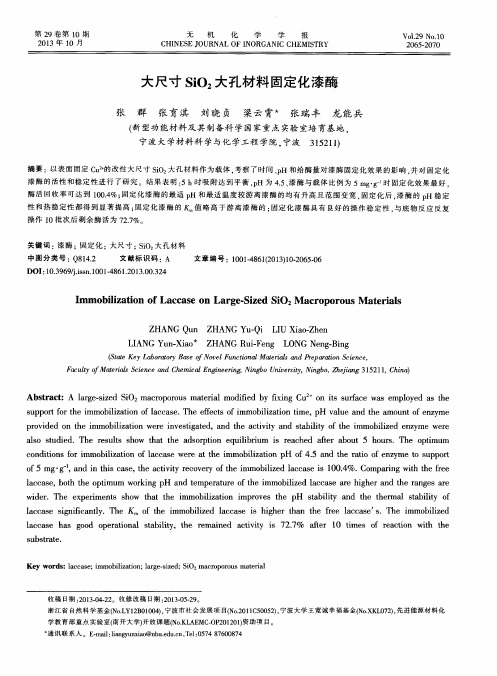 大尺寸SiO2大孔材料固定化漆酶