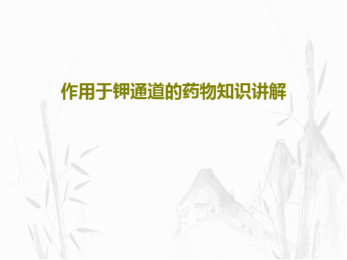 作用于钾通道的药物知识讲解65页PPT