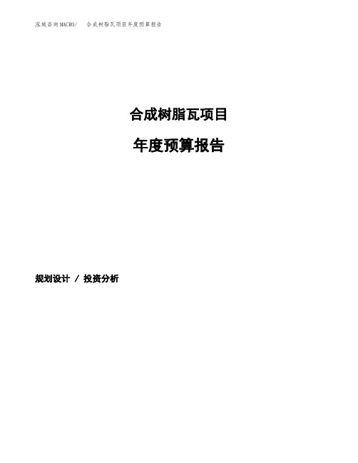合成树脂瓦项目年度预算报告