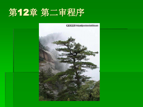 第12章+第二审程序