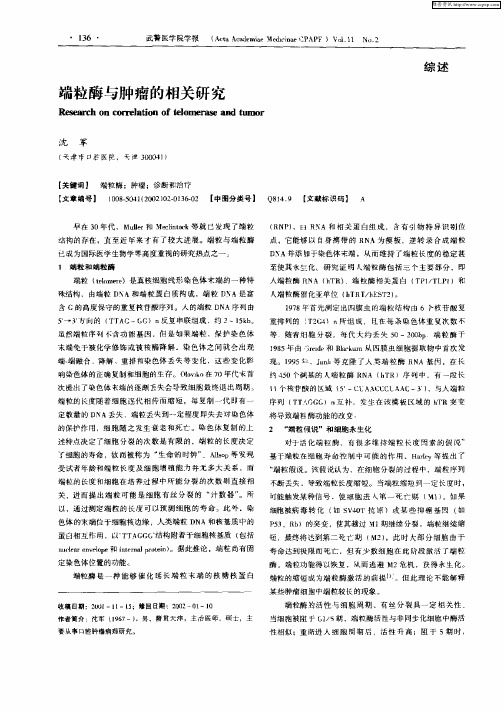 端粒酶与肿瘤的相关研究