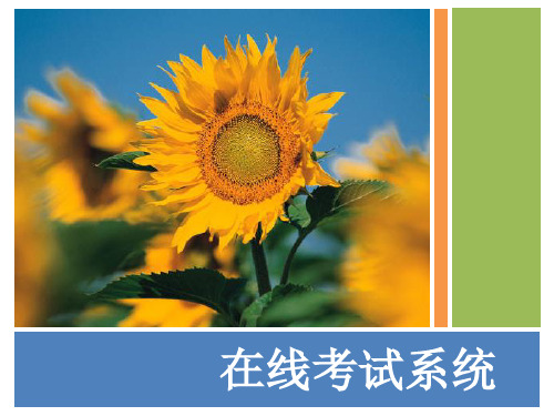 在线考试系统介绍