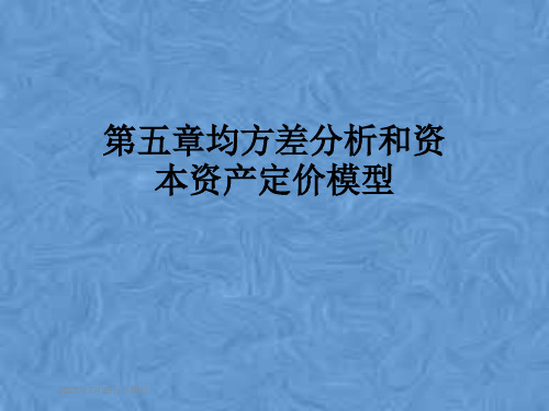 第五章均方差分析和资本资产定价模型