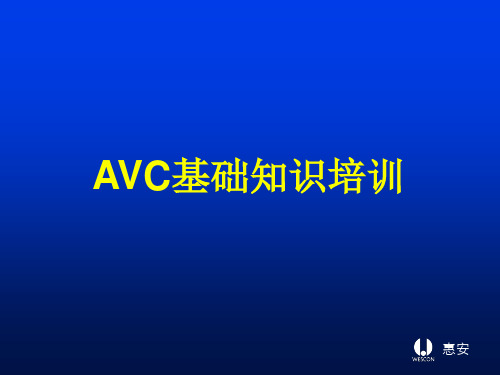 AVC基础知识解析
