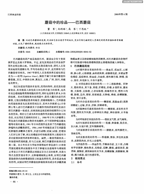 蘑菇中的珍品——巴西蘑菇
