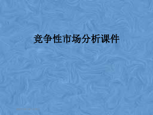 竞争性市场分析课件