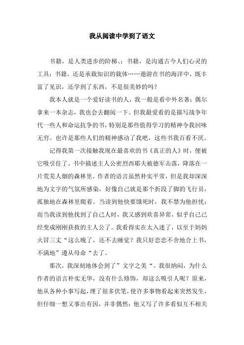 我从阅读中学到了语文