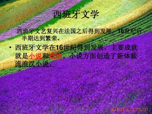 塞万提斯