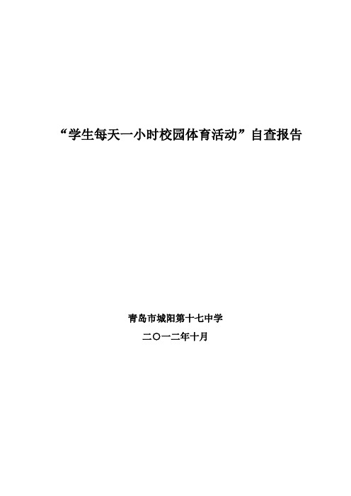 17中每天锻炼一小时自查报告
