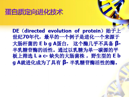 蛋白质定向进化技术